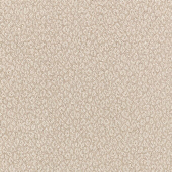 CR3-M-050